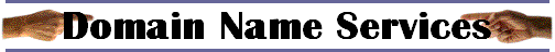 Domain Name Services