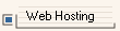 Web Hosting