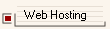 Web Hosting